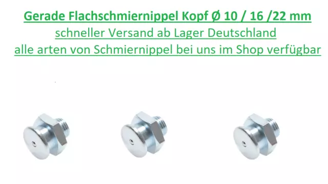 Gerade Flachschmiernippel DIN 3404 Kopf Ø 10 16 22 mm Flach Nippel  DIN3404 👍