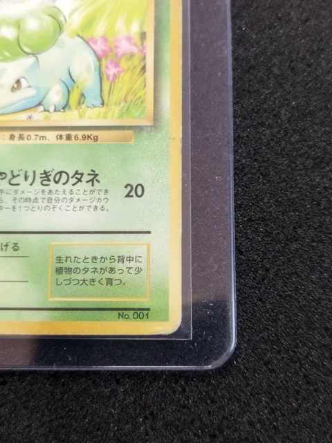 bulbasaur-bulbizarre-no-rarity-pok-mon-card-japanese-carte-pok-mon-1996