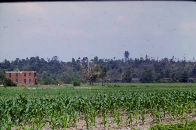 Kodachrome Original Slide Path of Tornado Dewart, PA  (1985) #CC1815