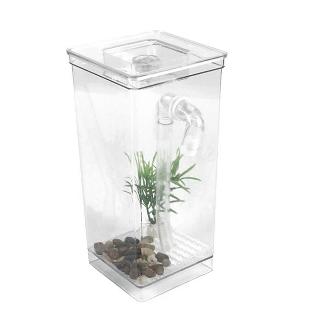 Small Fish Tank Self Cleaning Aquarium Complete Kit with Light Gravity Clean 2