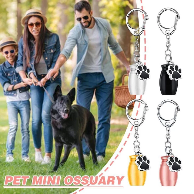 Stainless Steel Pet Memorial Key Urn for Small Pets Dog Cat Cremation Urn