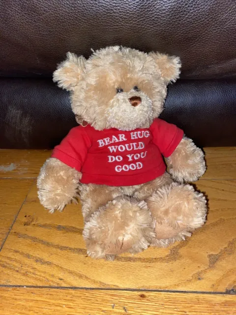 GUND NEED A Bear Hug T-Shirt Bear Brown Soft Teddy 12” Stuffed Animal ...