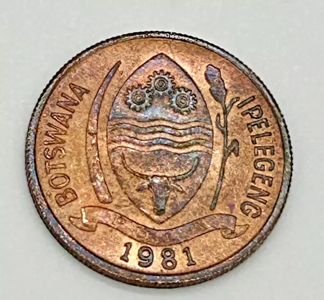 A Circulated 1981 Botswana 5 Thebe Coin