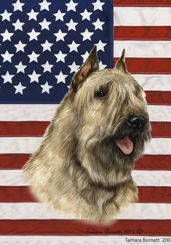 Patriotic (D2) House Flag - Fawn Bouvier des Flandres 32413