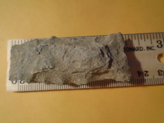 Damaged Native American Indian Artifact Found In Eastern Nc Mm-48