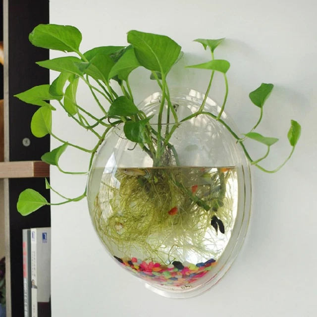 Pinsjar Acrylic Plexiglass Fish Bowl Wall Hanging Aquarium Tank Aquatic Pet Prod