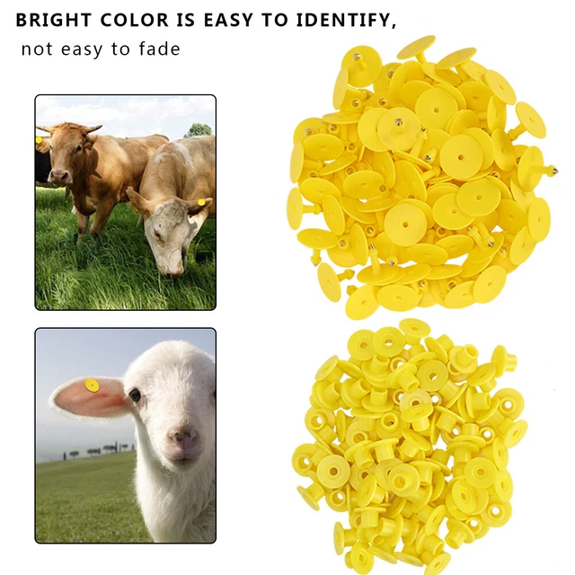 100pcs Animal Ear Tag Plastic Identification Card Anti Lost Marker For Farm Chp