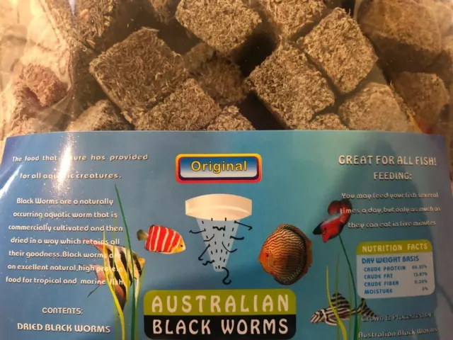 Black Worm Freeze Dried 5g Australian Product - FREE REGISTERED SHIPPING