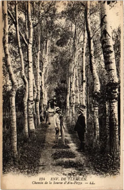 CPA AK TLEMCEN Env - Chemin de la Source d'Ain-Fezza ALGERIA (1188058)