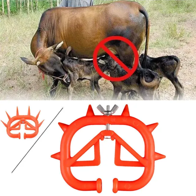 Calving Weaning Feeding Calf Weaner Nose Wean Ring Farm Tool Bovine Cow Cattle