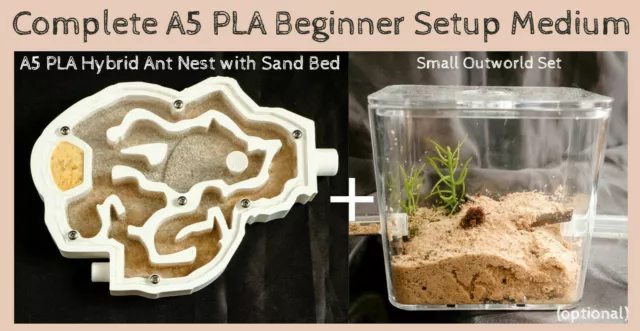 Live Queen Ant Farm Formicarium House Nest Complete Setup Best Ants UK