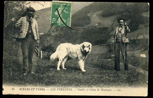 64 SCENES & TYPES mountain guides and chien (4)