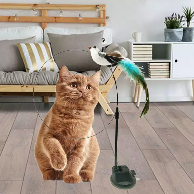 Jouet interactif de tige de teaser à plumes de chat avec ventouse récréatif