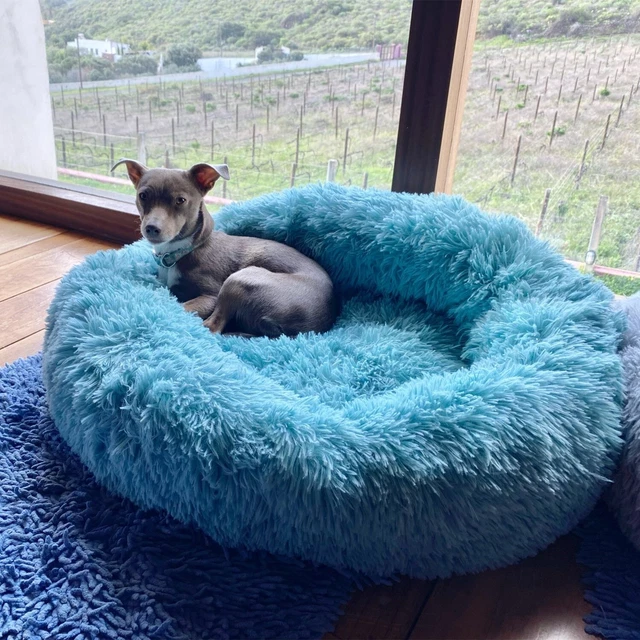 Super Soft and Warm Donut Plush Dog Bed