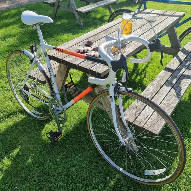 Raleigh sales pro race
