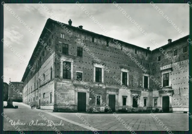Pesaro Urbino PIEGHINA Foto FG cartolina ZKM8244