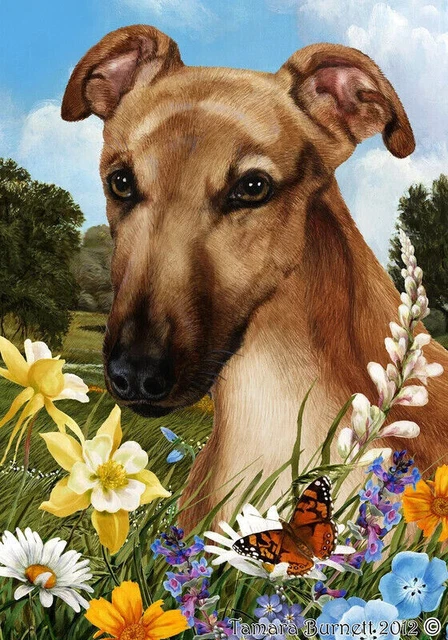 Summer Garden Flag - Fawn Mask Greyhound