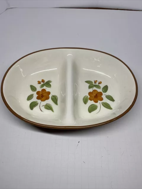 Vintage Rare Stangl Pottery Bittersweet Veggie Serving Dish Hand Painted Oval