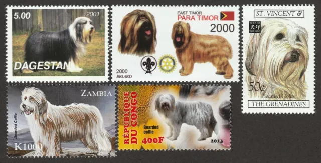 BEARDED COLLIE ** Int'l Dog Postage Stamp Art Collection ** Great Gift Idea **