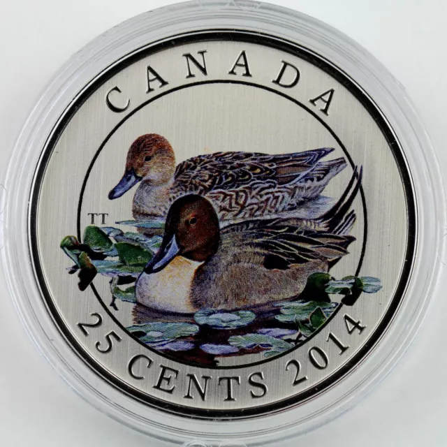 2014 25-cents Pintail Duck Colored Specimen Coin, Ducks of Canada Mint Box & COA