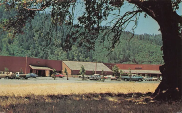 Postcard CA Hoopa Valley Shopping Center Old Cars Automobiles Humboldt County