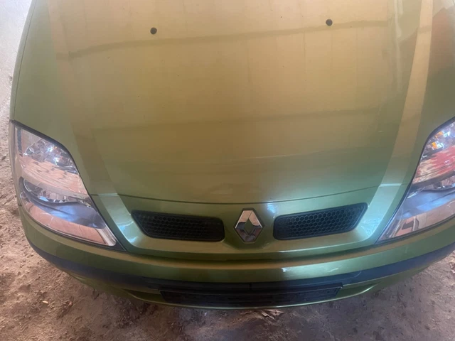 Schlachtfest Renault Megane Scenic