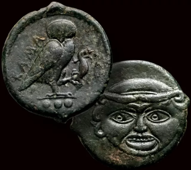 OWL - LIZARD - GORGON / Sicily, Kamarina 420-405 BC. Æ UNCIA Coin + COA  GGcoins