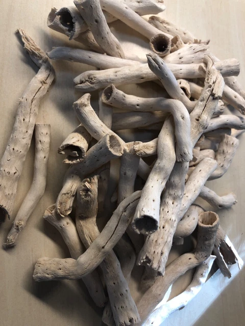 Dekoholz Cabbage root weiss, einzelne Stücke bis 17 cm lang, Rest ca 350 gr