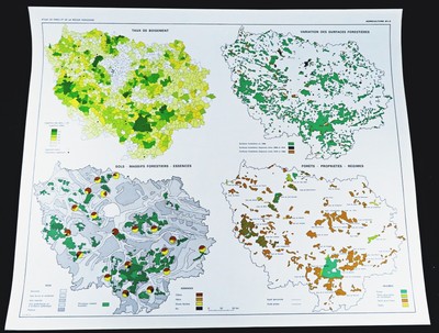 VINTAGE PARIS MAP French national - Vintage Paris Map French National Forests Forestry Parks 