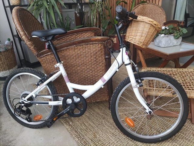 VTT 20 POUCE Fille Exalta Scrapper EUR 100 00 PicClick FR