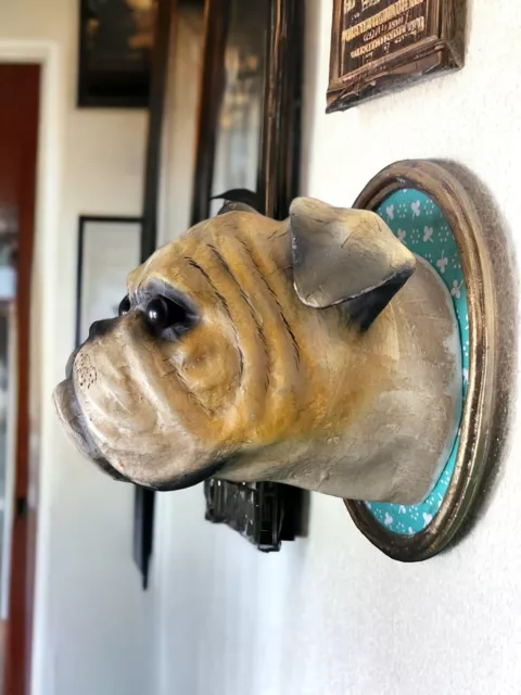 Paper Mache BULLDOG - Dog Head Wall Mount Vintage Framed