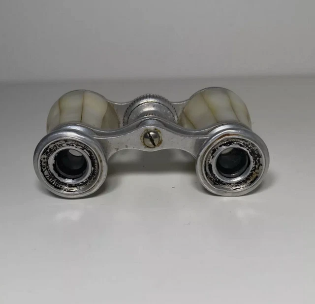 Paire de jumelles allemandes Dienstglas 6x30, « CARL ZEISS