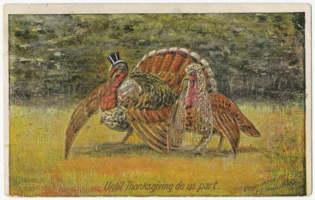Thanksgiving Turkey Wearing Uncle Sam Top Hat 1907