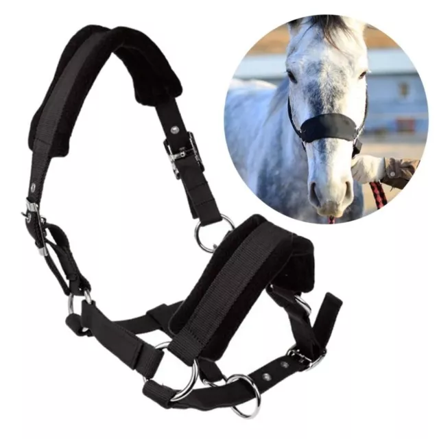 Comfy Horse Skin Bridle Adjustable Bridle Head Collar Strap Equipment  Pony