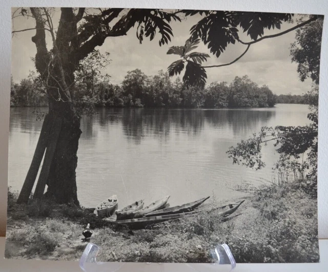 Foto Analogica Anonimo Africa Gabon A Verso 1970