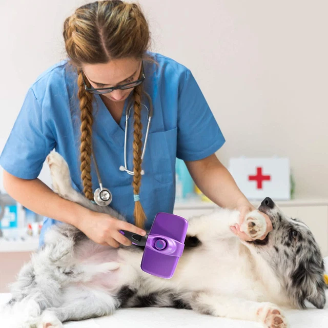 GM Pets™ Self Cleaning Grooming Brush | This Is the Best Dog and Cat Brush for S 2
