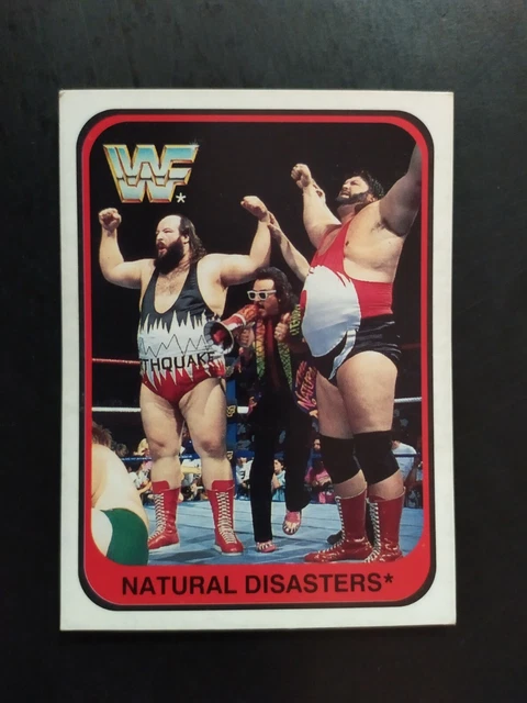 WWF MERLIN 1991 - The Natural Disasters Wrestling Trading Card 149 ...