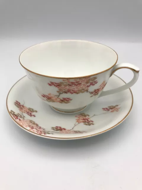 Vintage Fukagawa Arita Teacup & Saucer Japanese Maple China Hand Painted 3