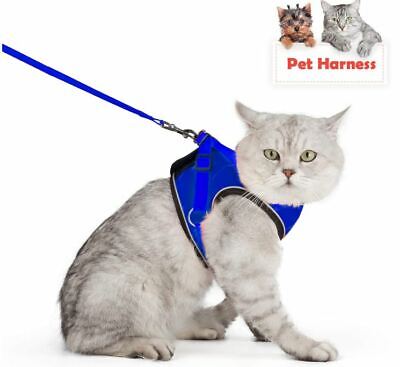 CAT Harness fuga a prova di piccoli gatti e cani morbida Mesh Vest Imbracature regolabile