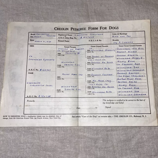 Vintage 1940 AKC Pedigree form Manchester Terrier Dog Breeder