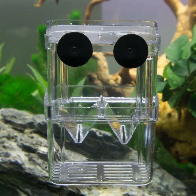 1xFish Breeding Box Shrimp Hatchery Fish Tank Incubator Isolation Aquarium P3U7 2