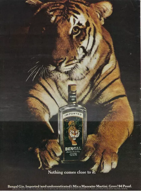 1967 Bengal Gin Big Cat Tiger Imported Spirit Vintage Magazine Print Ad/Poster