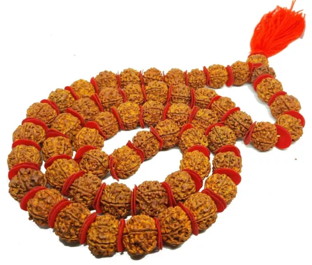 5 Mukhi Rudraksha Mala 5 Visage Rudraksh 15 Mm Perles Taille 100% Réel...