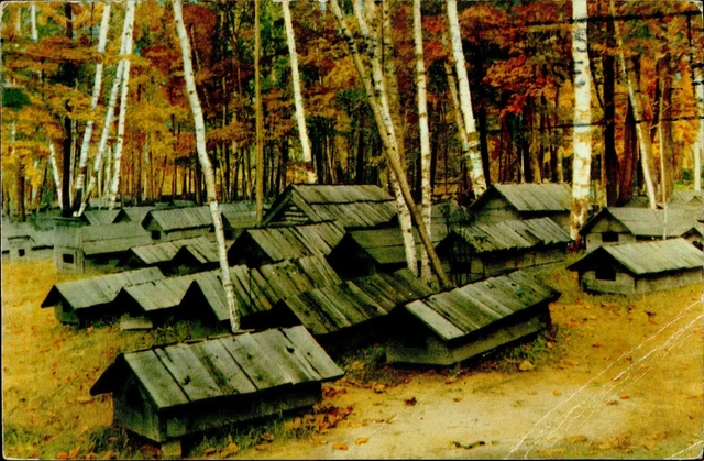 CE6697 indian cemetery on chicaugon lake crystal falls michigan usa