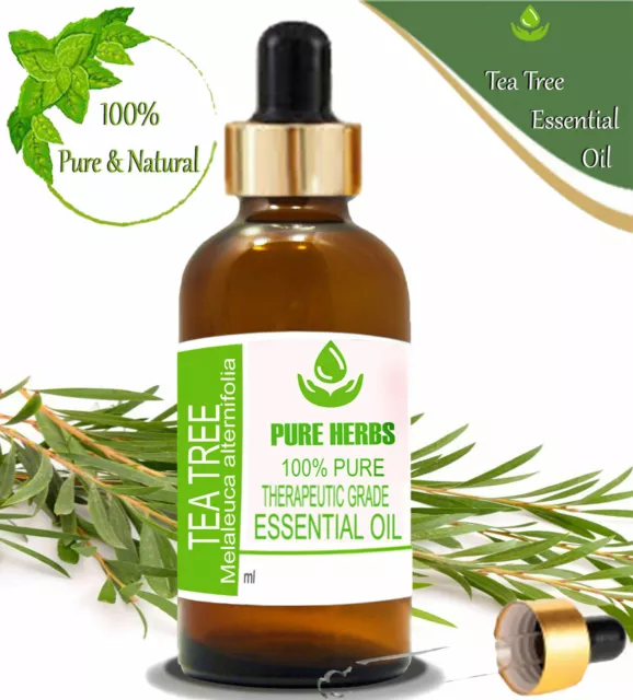 Pure Herbs Tea Tree 100% Pure & Natural Melaleuca alternifolia Essential Oil