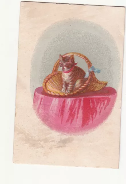 Brown Kitten in Basket on Pink Tablecloth No Advertising Vict Card c1880s