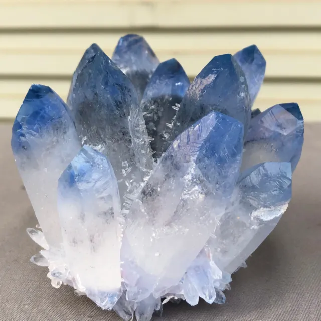 459g  New Find blue Phantom Quartz Crystal Cluster Mineral Specimen Healing