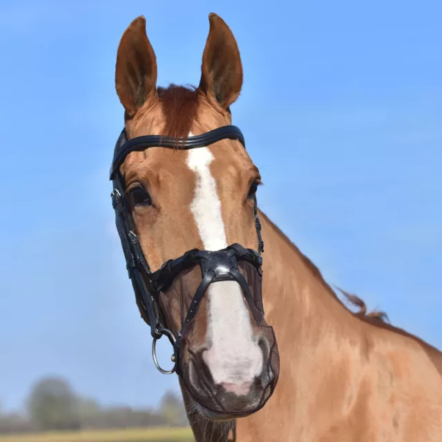 Equilibrium Nose MUZZLE NET Relief Pollen Head Shaking GRACKLE Bridle Black