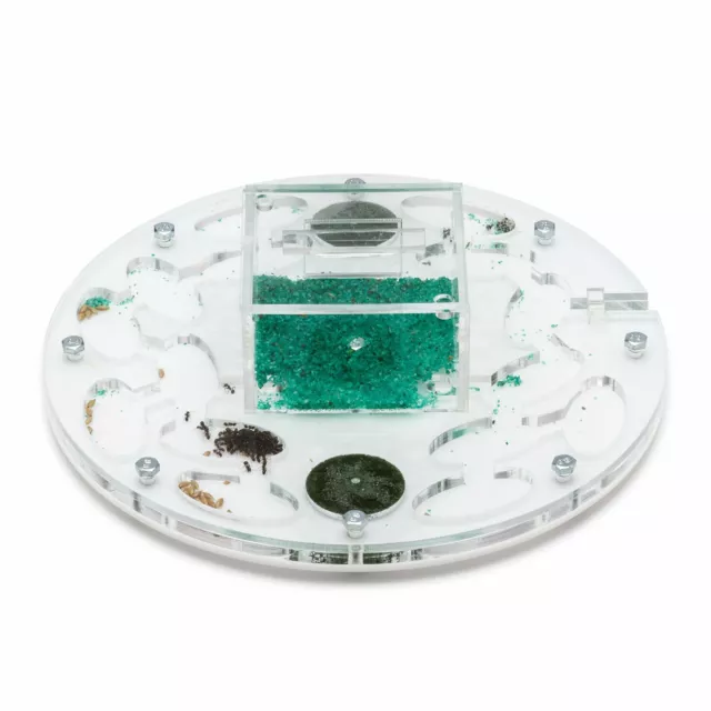 AntHouse.es - Hormiguero Acrílico Circulo - Granja de hormigas Espuma 20x20x1,3c