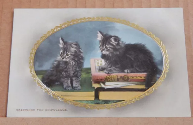 Postcard Early Embossed Cat Card "Searching for Knowledge Wildt & Kray 2935